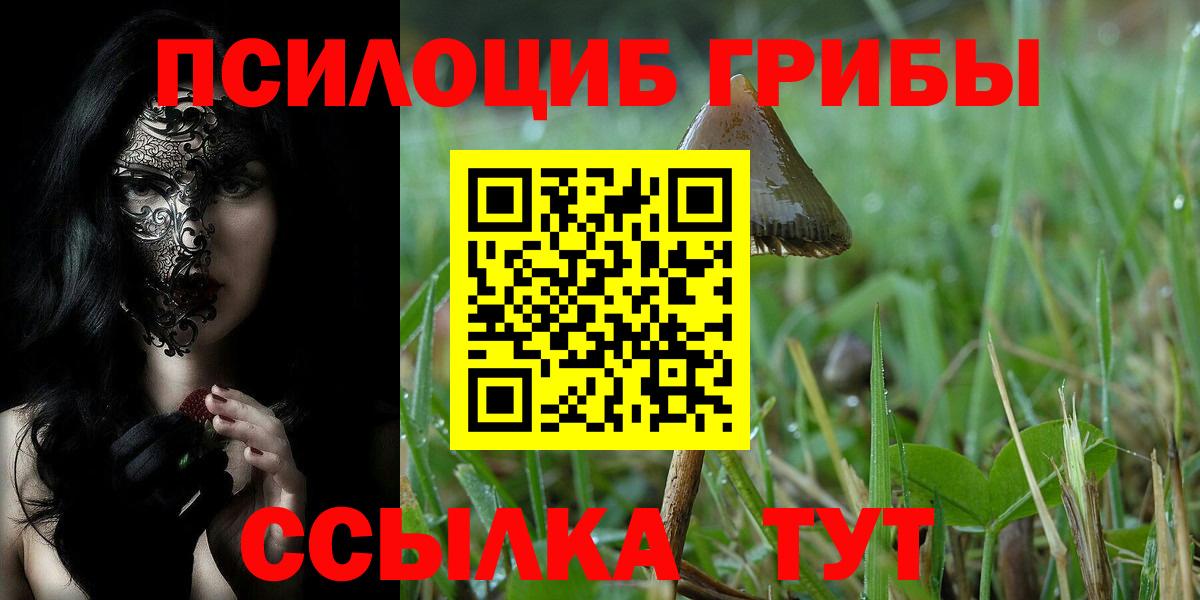 Лесной  Псилоцибиновые грибы Psilocybe  купить   Вход с VPN 